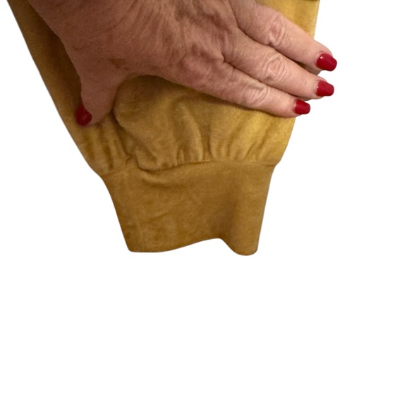 NWT Wonderly Golden Velour Jogger Style Pants PLUS: 2X #CL - Picture 5 of 9